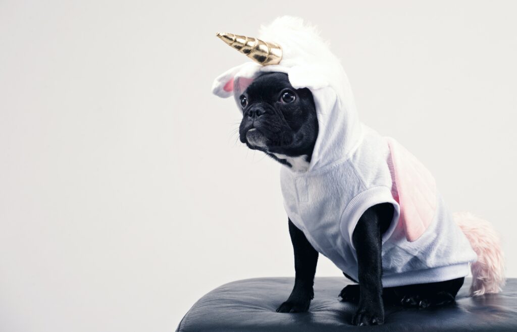 dog unicorn